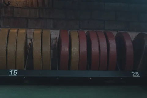 Weight plates arranged in a storage rack.