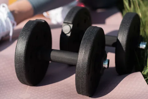 A pair of round dumbbells resting on an exercise mat.